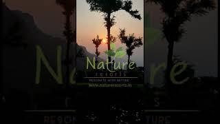Teanest Nightingale , Kotagiri | Nature Resorts|