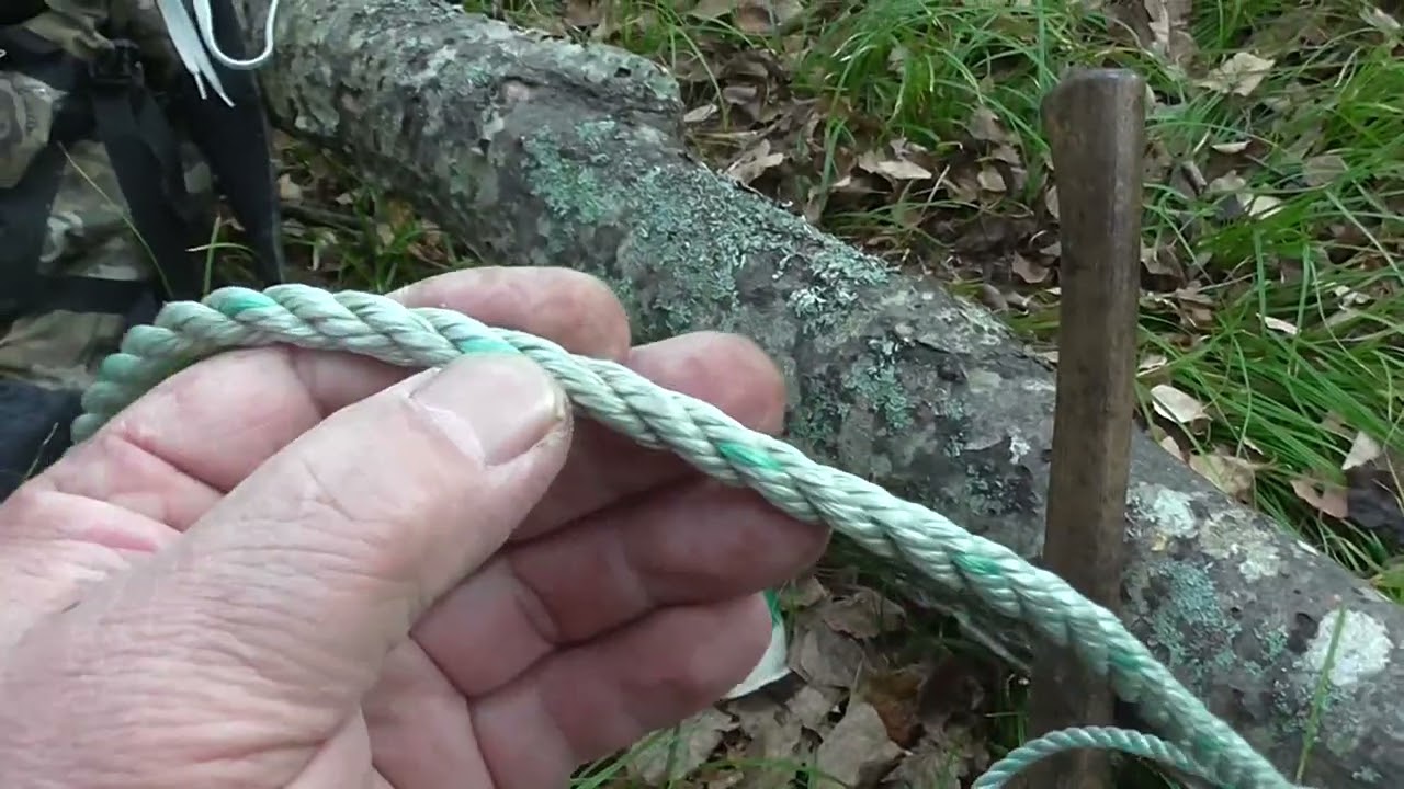 Работа на путике, медвежонок на фотоловушке. осень 2024 г.