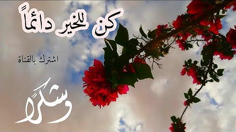 القارئ يونس الحصين