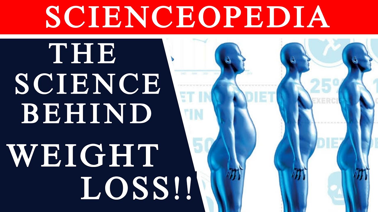 Science Behind the Weightloss | English | Scienceopedia