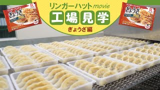 ぎょうざ（12個入）1パック(1): ぎょうざリンガーハットオンラインショップ