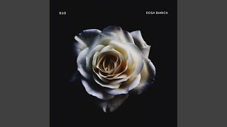 Rosa Bianca (Radio Edit)