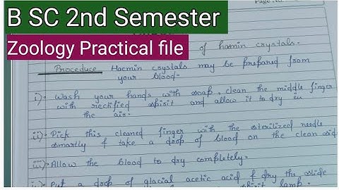 B.SC 2nd Semester Zoology Practical file/ B.SC 2nd Semester Zoology Practical file kaise banaye/