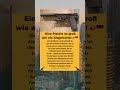HK MK 23: Die ultimative Offensiv-Pistole 🔫💪