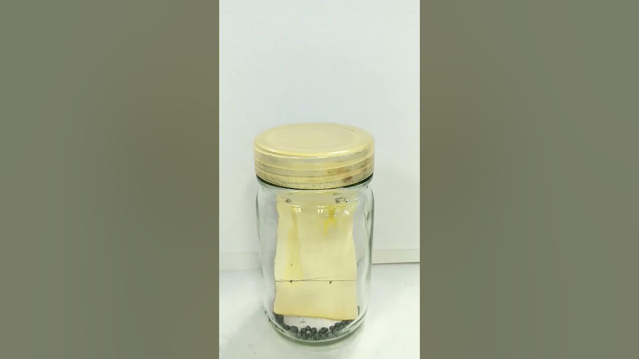 The iodine staining technique for TLC analysis YouTube