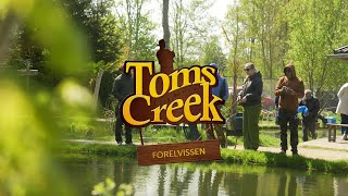 Download Lagu Forel, Zalm \u0026 Mixvijver | Sfeerbeelden bij Toms Creek MP3