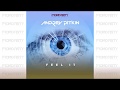 Andrey Pitkin Feel It Radio Edit mp3