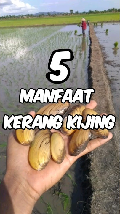 Manfaat kerang kijing untuk kesehatan Original vidio by youtube @barrhunting342  #shorts