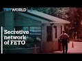 Fetos secretive network in the us