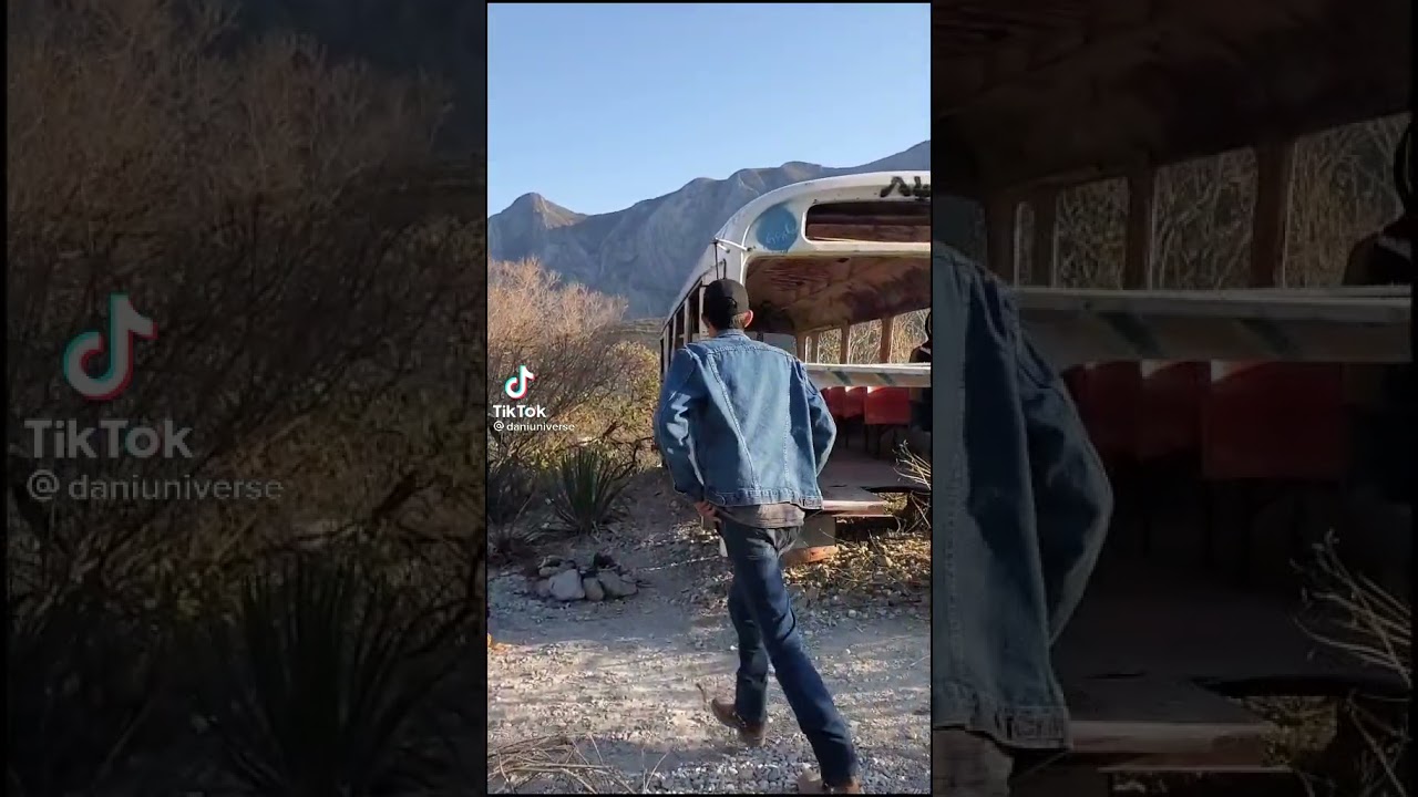 TikTok De Dani Universe