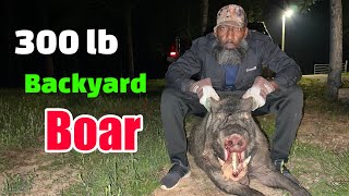 Got a Notification that a 300lb Wild Boar was in my Backyard