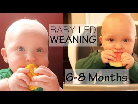 baby-led-weaning-6-months|-first-foods