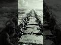 “Ram Setu Mystery 😱 पत्थरों पर लिखा श्रीराम 🔱” #viralvideo #ramsetu #shorts