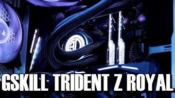 Gskill Trident Z Royal Review & Light Show