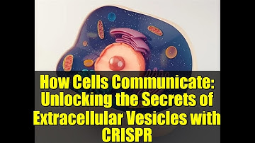 How Cells Communicate: Unlocking the Secrets of Extracellular Vesicles with CRISPR