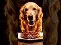Golden Retriever vs Giant Steak 🐶🥩 ASMR Feast