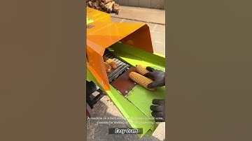 The Process of Automated Corn Cob Processing on the Farm