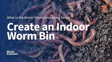 How to Create Your Own Worm Compost Bin
