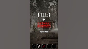 This Game is STALKER and Lethal Company Combined..