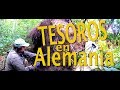 SORPRESA cerca de RAÍCES de ÁRBOL ANTIGUO CAÍDO con DETECCIÓN de METALES XP DEUS HF. Ep. 127