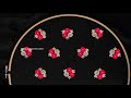 Beautiful all over hand embroidery | Woven wheel rose | Spider web rose stitch