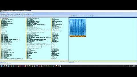 Windows 11 & SpeedCommander 11
