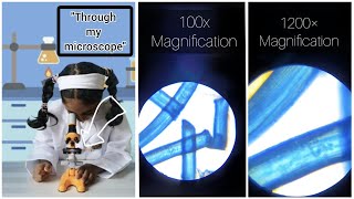 "Through my microscope " - plastic under microscope - create curiosities.