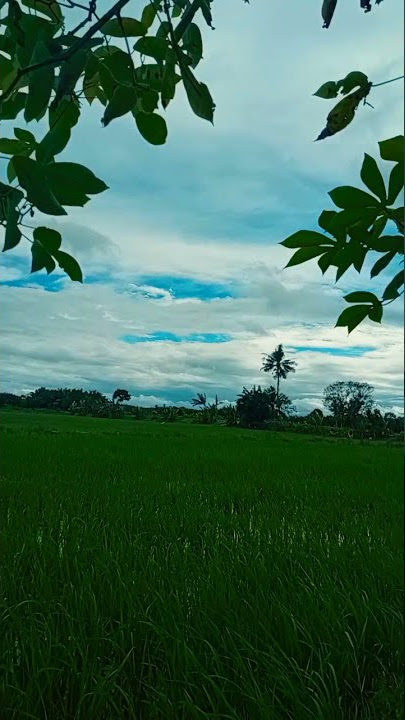 pemandangan fenomena alam #short #vidio #youtube #lukisanalam #story #savegalery #pertunjukanalam