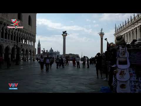 Video: Liên Hoan Phim Venice Như Thế Nào