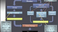 Gluten Sensitivity Vs. Celiac Disease Vs. Gluten Intolerance