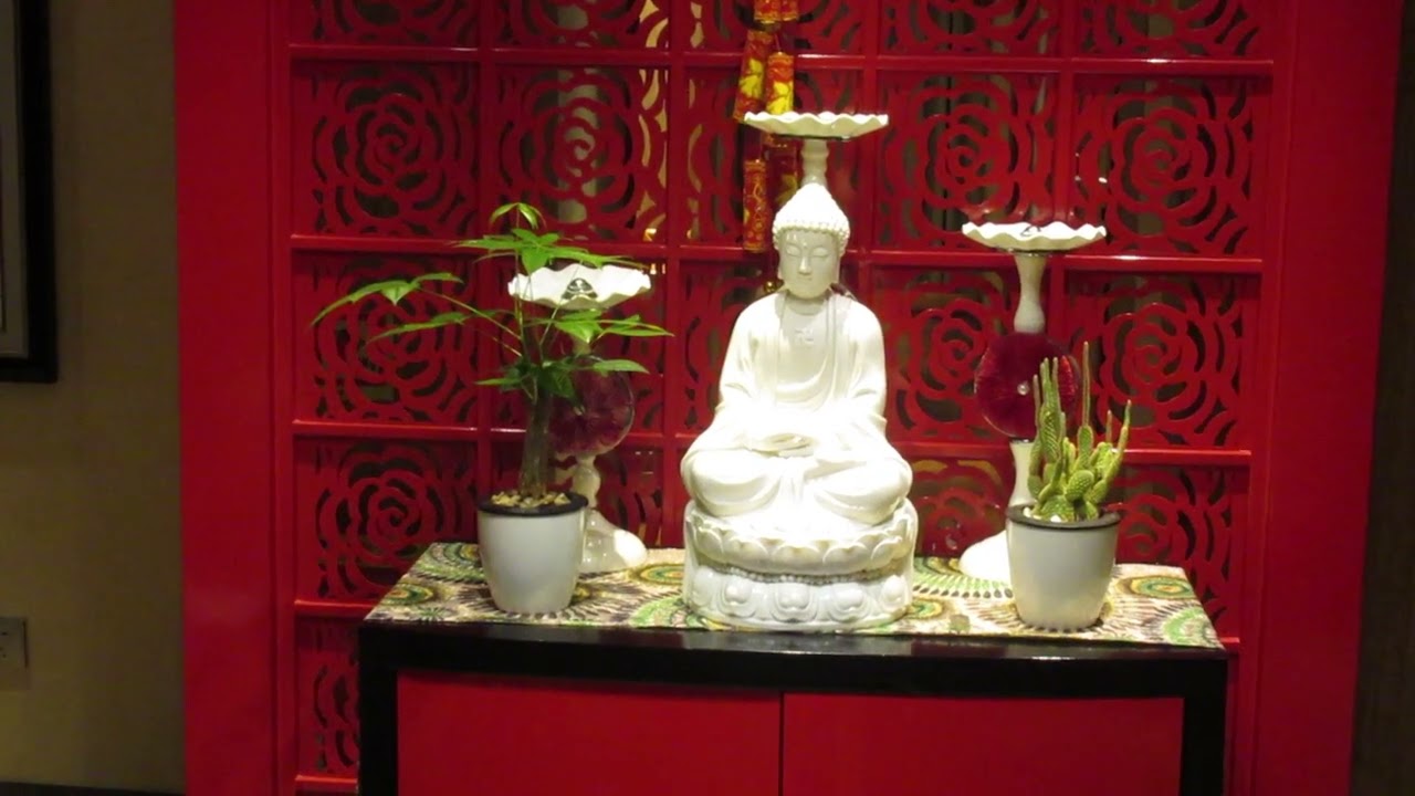 Health Oasis: Doctor's Office Aboard Century Paragon with Eva's Best Luxury Travel!