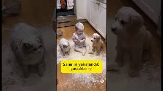 Unlu Tatlı Kurabiyeler Fırına Hazır 🤣