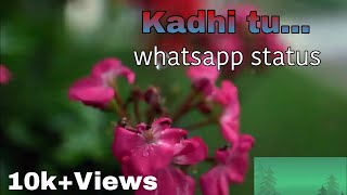 Kadhi tu.. mumbai pune mumbai Whatsapp status