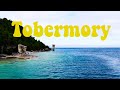 Seeking Shipwrecks in Tobermory