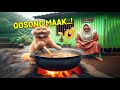 LUCU BANGET.! Kucing Oren Bar-bar Bantuin Emak Masak Malah Gosong ~ Video Kucing Lucu Oren Bar Bar