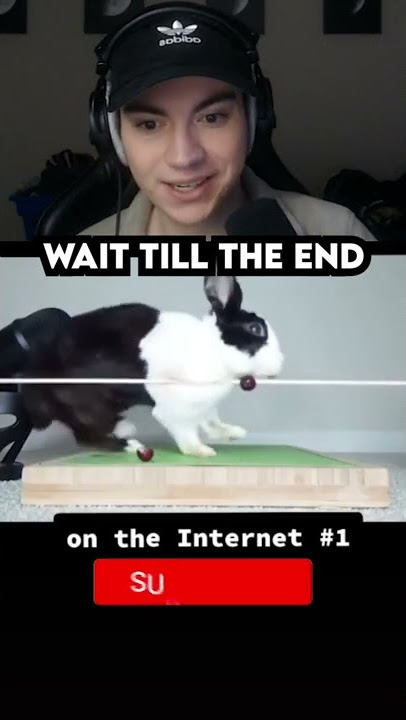 Try Not To Laugh 69