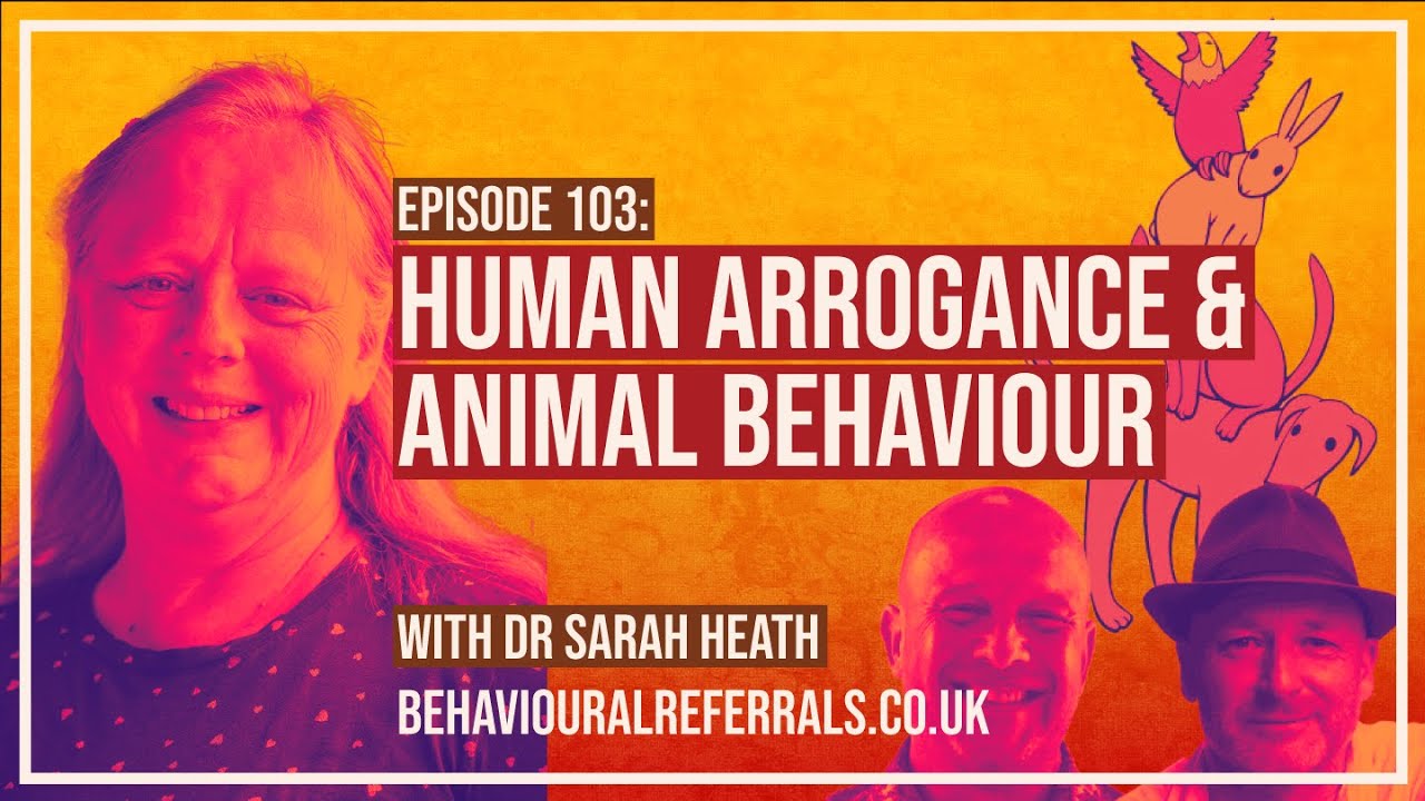 Episode 103 Human Arrogance And Animal Behaviour With Sarah Heath