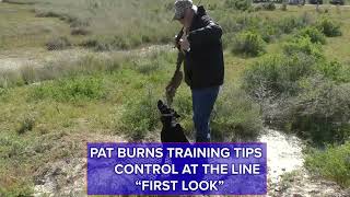 Pat Burns Training Tips   First Look