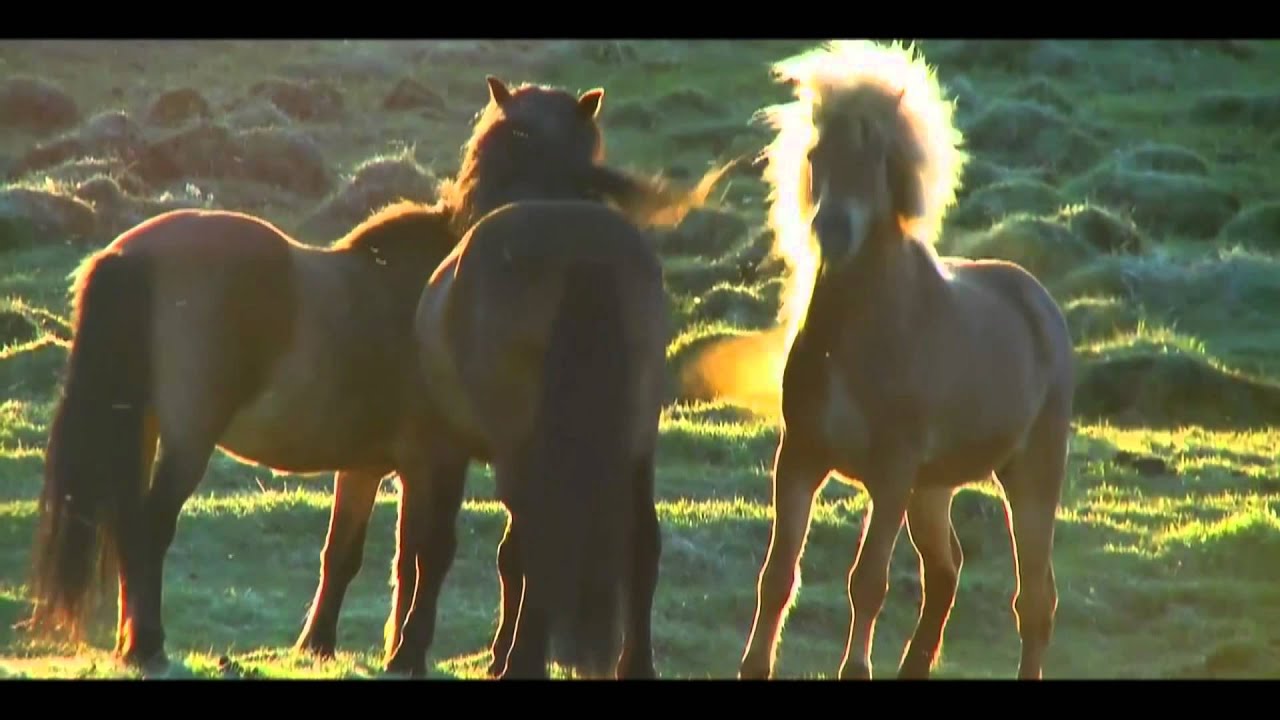 Сотворение человека (