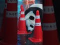 さよならパンダ 上野動物園