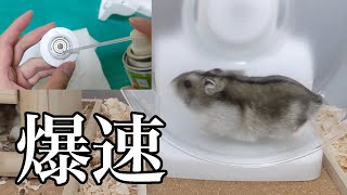 うるさいハーモニーホイールをダイソーのグリスで復活させます！