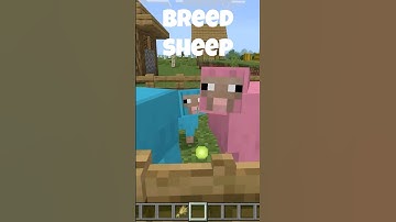 How to breed sheep in minecraft #minecraft #minecrafttutorial #minecraftshorts
