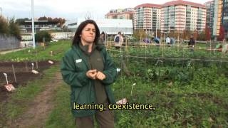 Capítulo 9. La Huerta-Escuela. Vigo
