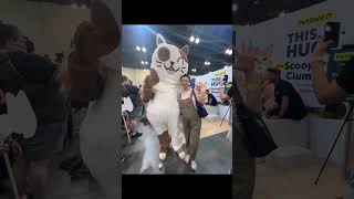 Catcon