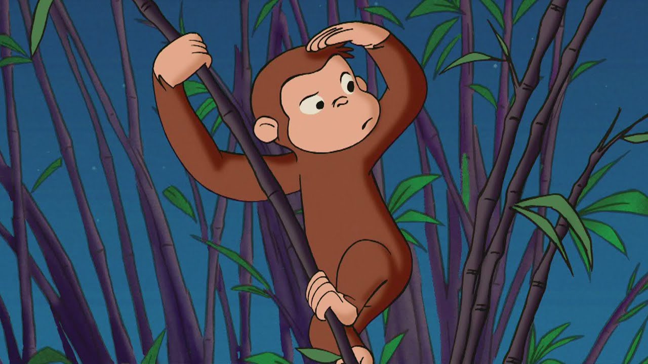 George si perde nello zoo 🐵 Curioso Come George 🐵 Cartoni per Bambini