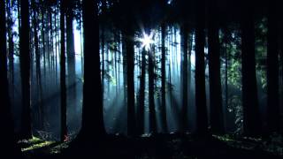 Video thumbnail of "THE CURE - A forest"