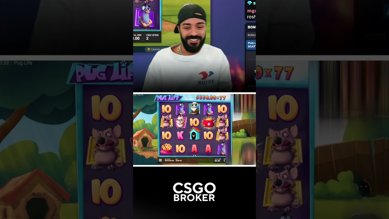 🐶 BIG WIN Roshtein in Pug Life slot