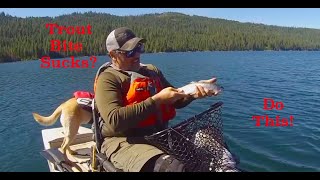 Trout Bite Sucks? Do This!