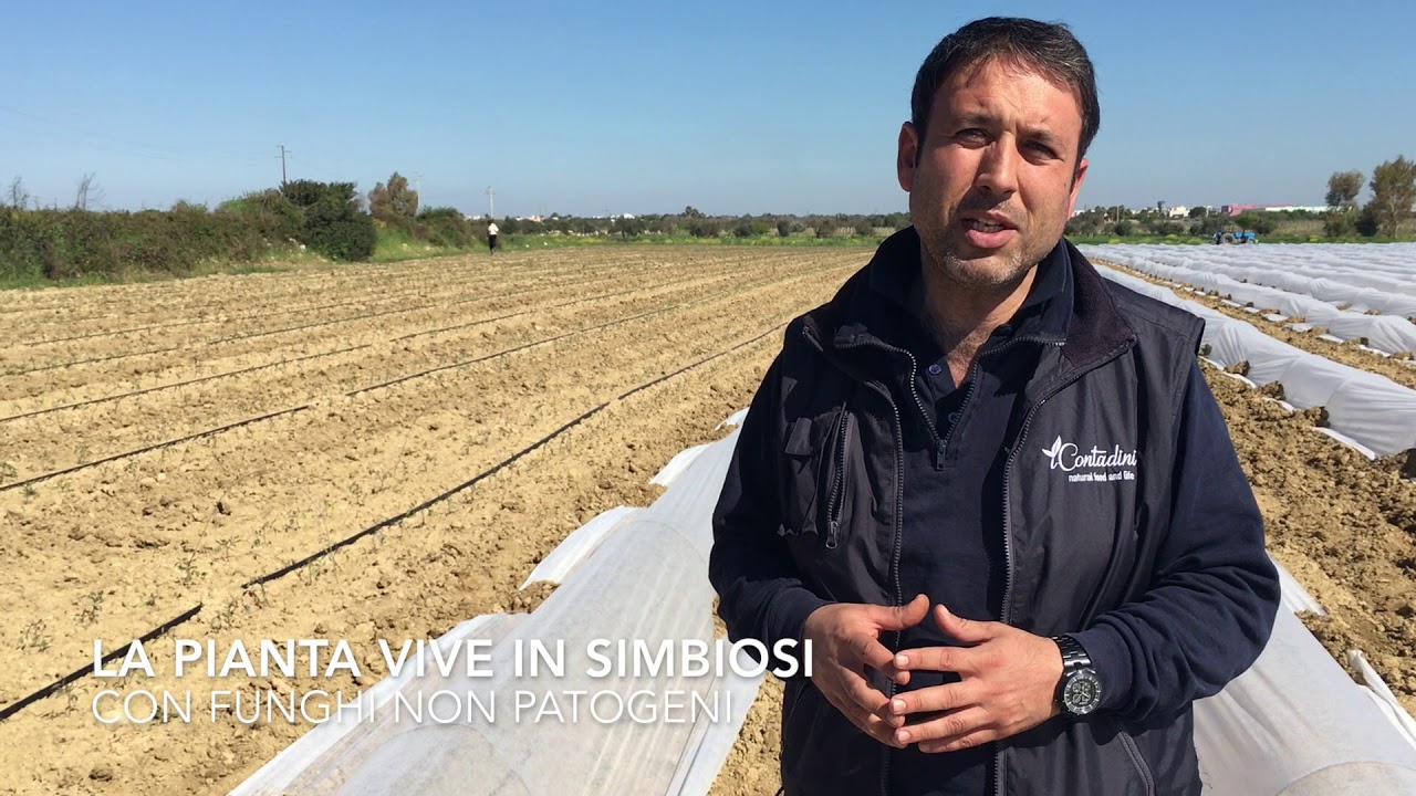 iContadini - Micorizzazione