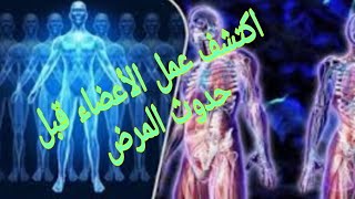 SUJOK THERAPY   تشخيص وظائف الأعضاء الداخلية قبل حدوث المرض